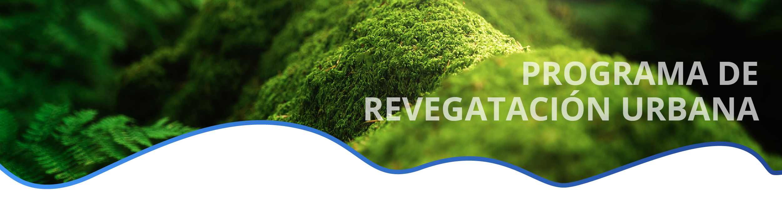 PROGRAMA DEREVEGATACIÓN URBANA ES1